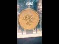 3 Royal Ontario Museum (ROM) Toronto Canada #shorts #canada