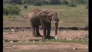 Afrika Keňa klip2005