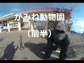 かみね動物園に行ってみた！（前半）I went to Kamine Zoo! (first half)　180度3DVR　oculus go！