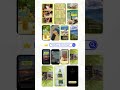 My best SUMMER Canva Templates for Instagram and TikTok 🌞