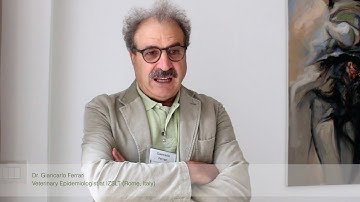 The importance of a step-wise approach in controlling TADs