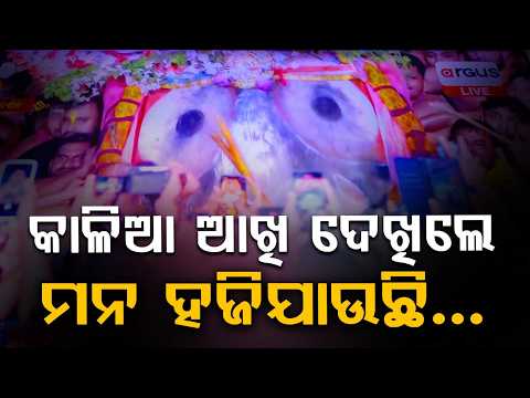 କାଳିଆ ଆଖି ଦେଖିଲେ ମନ ହଜିଯାଉଛି.. | Adapa Mandap Bije | Rath Yatra 2026 | Rath Jatra | Argus News