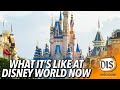 What It's Like at Walt Disney World in Fall 2021