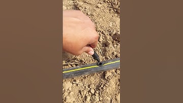 Mini sprinkler system #agriculture #farming #sprinkler #minivlog #shorts