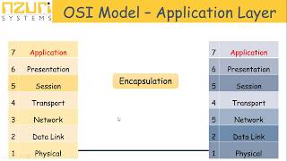 Day 3. Protocols and Models Part 1