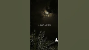 {يقول ياليتني قدمت لحياتي#سورة_الفجر #القرآن_الكريم #ارح_قلبك