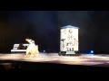 Собаки на сцене цирка. Цирк Чудес. Dogs on the stage of the circus