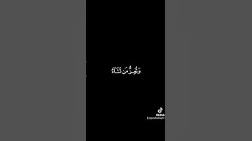 سورة آل عمران القارئ فارس عباد مقطع سيهز قلبك