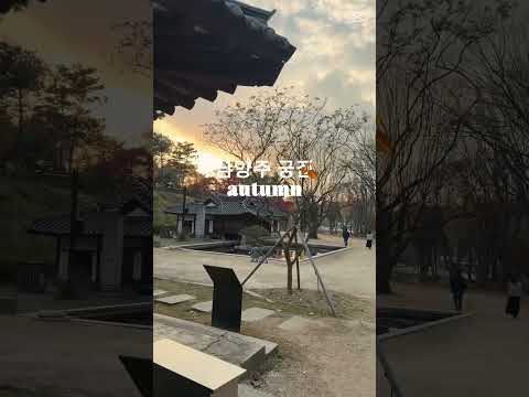 멀리 안가도 #남양주가볼만한곳 #궁집#가을 #남양주궁집 #단풍