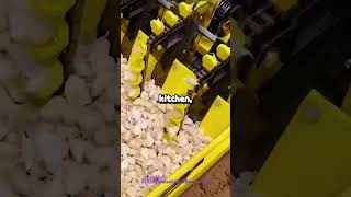 Whats The Weirdest Thing You Ever Found In A Thrift-Store Pocket?