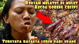 KECOA GORENG CRISPY BIKIN MELEDAK DI MULUT