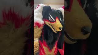 【獣化/fursuit#98】水曜のもふもふタイム🐾【ジュージュー】#獣化 #fursuit #shorts #Furtuber #雑談配信