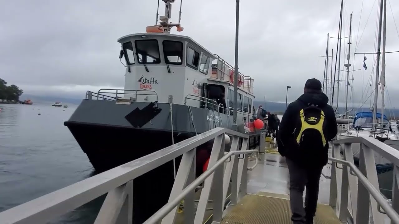 Puffin and Cave Tour with Staffa Tours