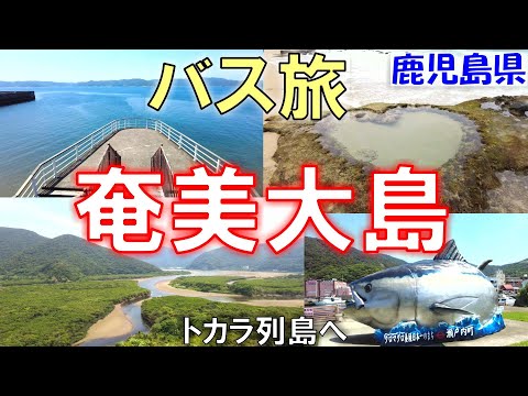 【奄美大島】バス旅!空港~奄美市街~瀬戸内町【トカラ列島への出発地】