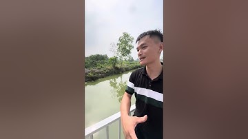 1000m2 đất Giáp hồ Châu Pha, thuộc Tóc Tiên, thị xã Phú Mỹ, tỉnh Bà Rịa Vũng Tàu.