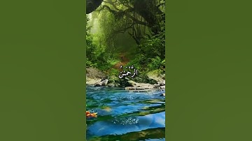 واتس اب قران كريم القارئ ناصر القطامي من سورة (الفرقان)