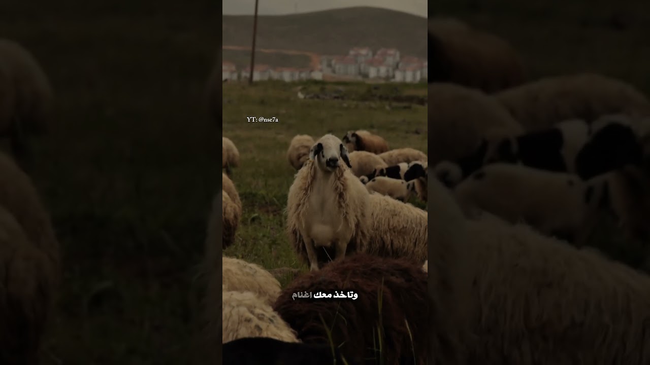 النجاة من فتن آخر الزمان!