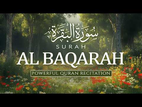 Surah Al-Baqarah (سورة البقرة) | Full Beautiful Quran Recitation for Peace & Blessings | Alaa Aqel
