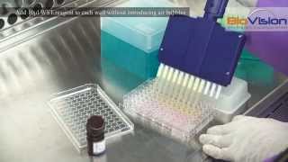 Cell Proliferation Assay Kit Video | Biovision, Inc.