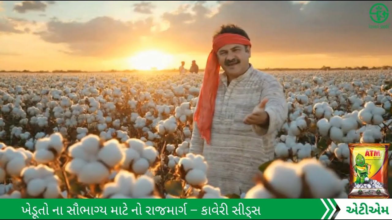 ખેડૂતો નો વિશ્વાસ, કાવેરી ATM કપાસ ! 