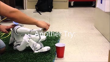 Robotics Video Final Project 2015