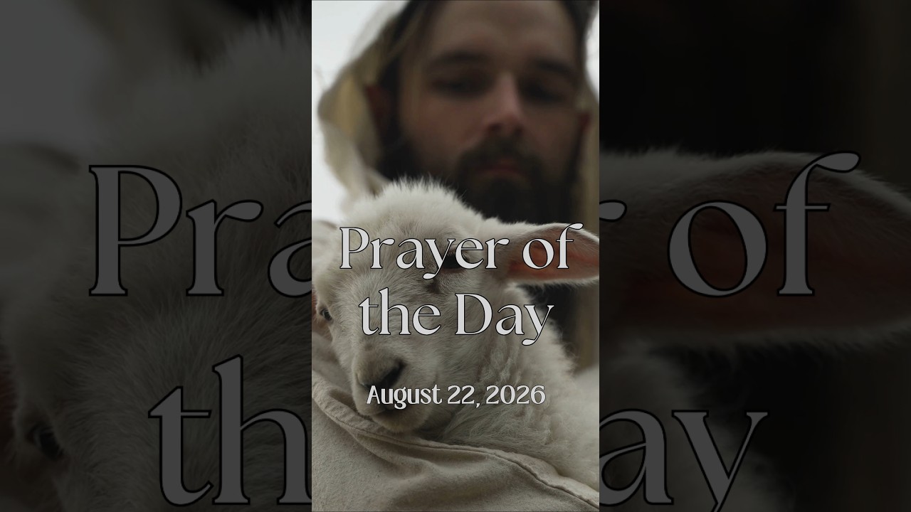 Prayer of the Day | August 22, 2026 #prayer #dailyprayer #jesuslovesyou