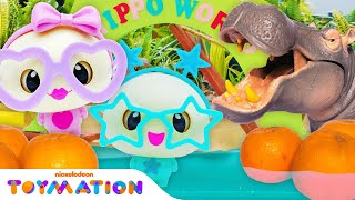 Dumplings Rescue Hippos at the Water Park! | My Squishy Little Dumplings | Toymation