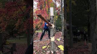 Turbo Tom | Springboard Chop Lake Effect Lumberjack Classic 2023