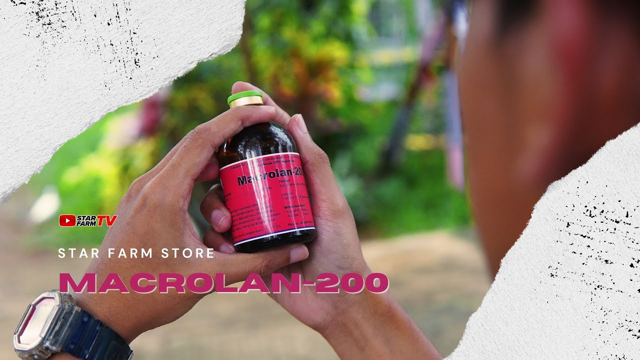 MACROLAN-200 | Obat Ampuh Atasi Infeksi Pernafasan & Radang pada Ternak ...