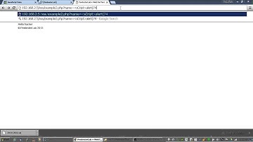 PentesterLab   Web For Pentester  XSS EX2