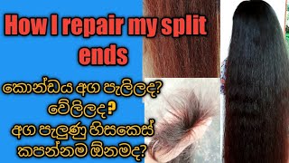 How to get rid of split ends /split ends home treatment /How I repair my split ends at home