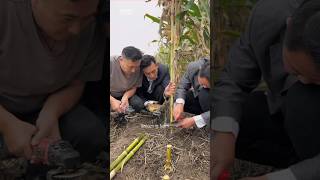 Agriculture Farming #agriculturefarming #agriculturetechnology #agriculuturemachine #tools #agritech