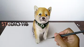 リアルな柴犬イラスト