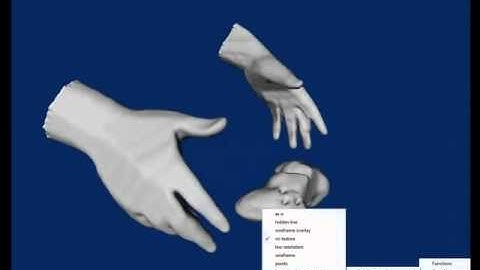 From multiple views to textured 3D meshes: a GPU-powered approach