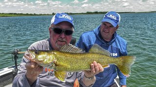 Jumbo Walleyes with Bottom Bouncers in South Dakota