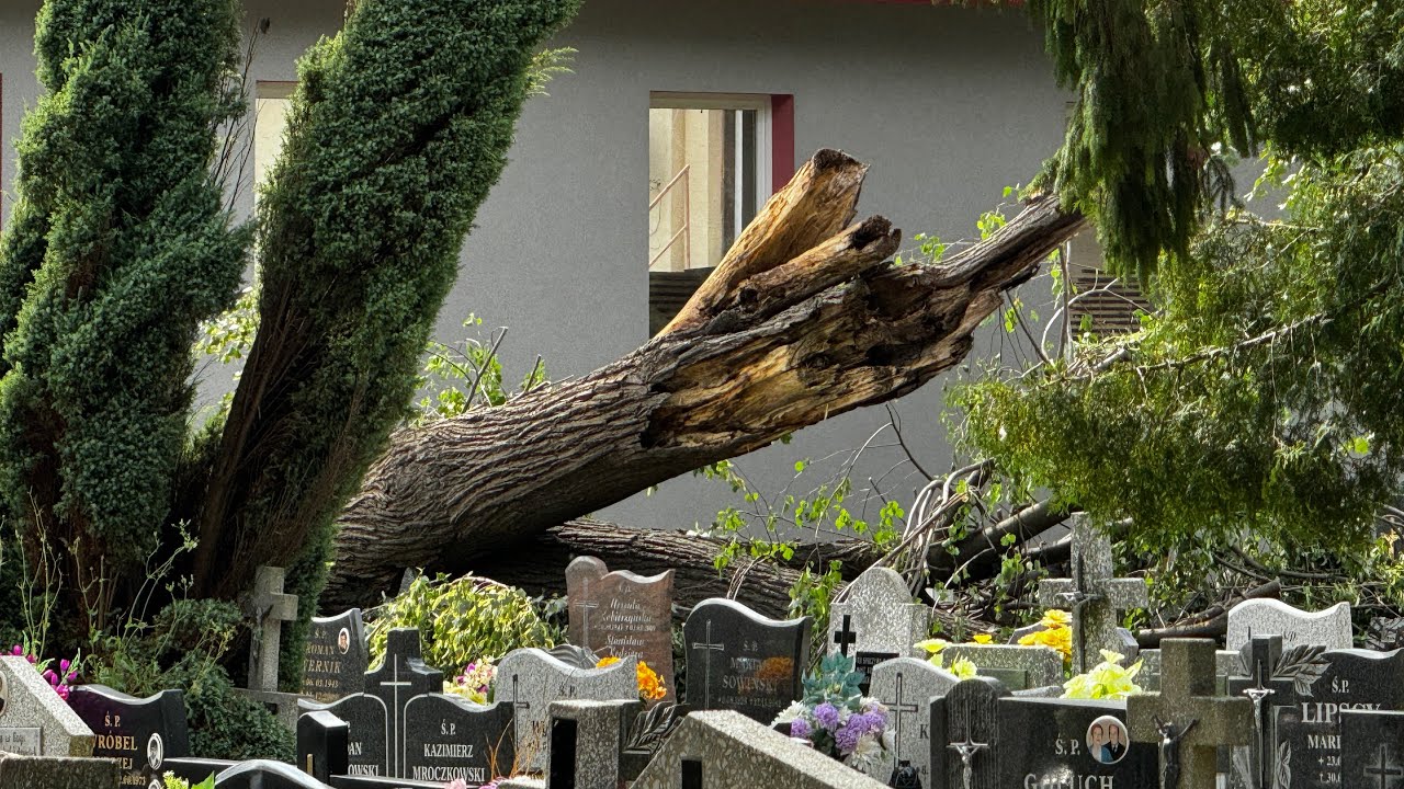 Nowy Staw po nawałnicy. Wiatr osiągał prędkość nawet 180 km/h! Trwa szacowanie szkód.