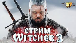 #3 | The Wither 3 Wild Hunt | Прохождение игры Ведьмак 3 дикая охота | 37Black #3 | The Wither 3 Wild Hunt | Прохождение игры Ведьмак 3 дикая охота | 37Black