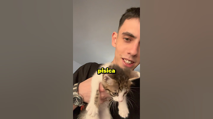 MI-AM LUAT O PISICA