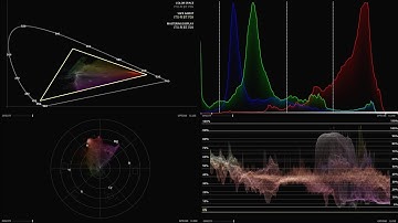 What are video scopes?