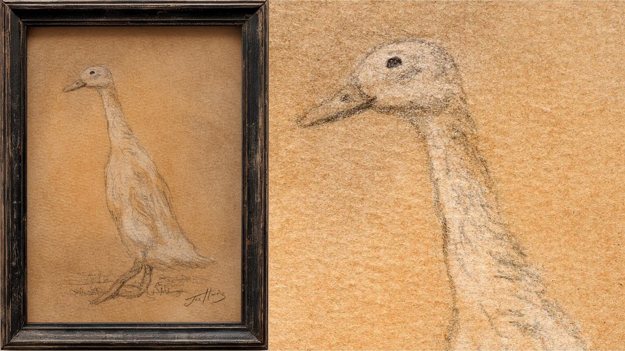 How to Draw a Duck | Vintage Minimal Sketch Art