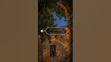 القارئ شريف مصطفى