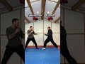 Taekwondo vs Karate… who wins?