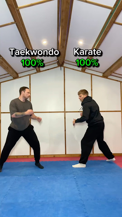 Taekwondo vs Karate… who wins?