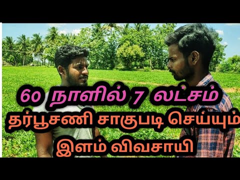 60 நாளில் 7 லட்சம் வருமானம் /தர்பூசணி சாகுபடி செய்யும் இளம் விவசாயி / #Watermelon# ilayathalaimurai#