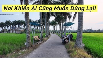 Thiên Đường Cau Xanh’ Giữa Đồng Lúa Tân Trụ | Cảnh Đẹp Không Ngờ Ở Long An