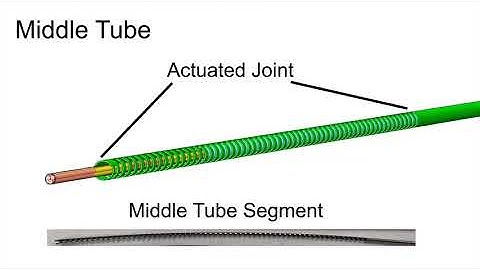 COaxially Aligned STeerable (COAST) Guidewire Robot withIntegrated Shape and Force Sensing
