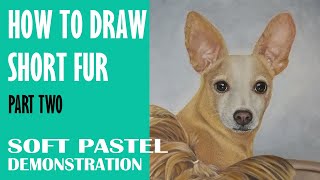 How to Draw Short Fur - PART TWO - Pet Portraits - Realism in Soft Pastels - 30 Minutes screenshot 5