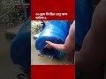 বরিশালে ৩৬ ড্রাম চিংড়ির রেণু জব্দ ও অবমুক্ত, আটক ৫ | DBC NEWS