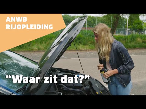 Video: Welke vloeistoffen kunnen worden gelaagd?