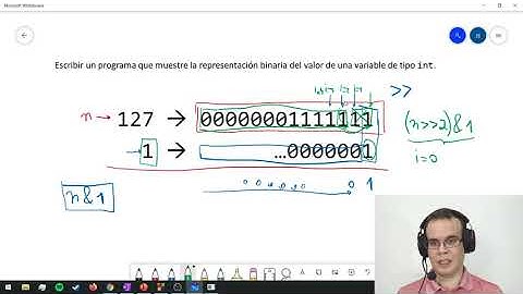 Operaciones a nivel de bits en C: Ejemplo: Visualización de la representación binaria